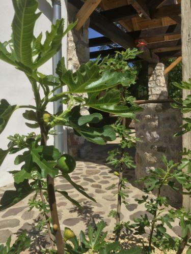 Hostal Vitamin B63 Vend�gh�z