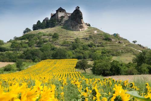 Hostal Mandalah�z
