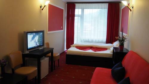 Hostal Pensiunea Clasic