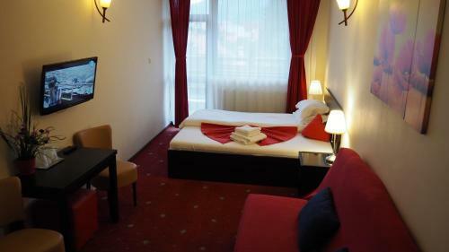 Hostal Pensiunea Clasic