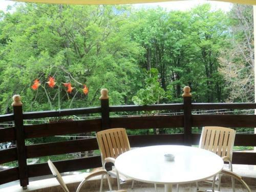 Hostal Pensiunea Clasic