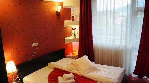 Hostal Pensiunea Clasic