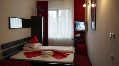 Hostal Pensiunea Clasic