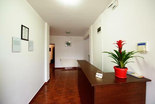Albergue Casa Victoria
