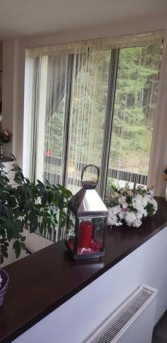 Apartament Kalinderu