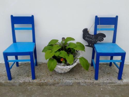 Hostal Casa Babica Guesthouse