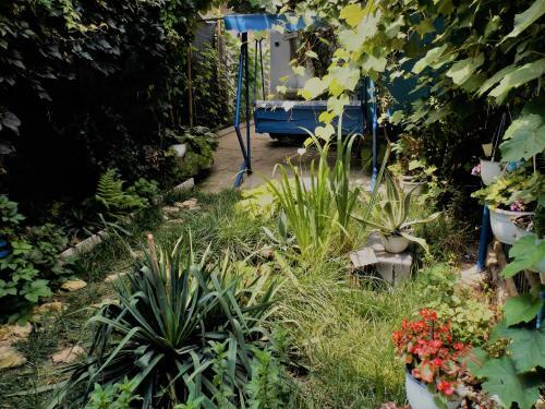 Hostal Casa Babica Guesthouse