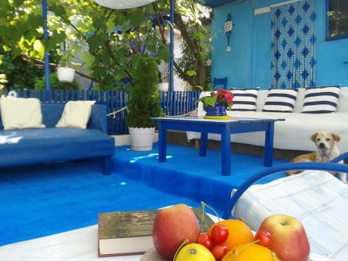 Hostal Casa Babica Guesthouse