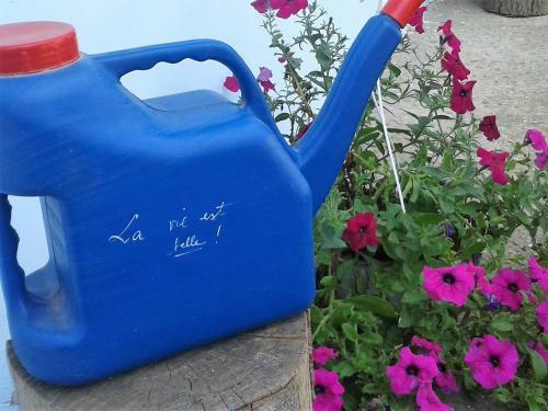 Hostal Casa Babica Guesthouse