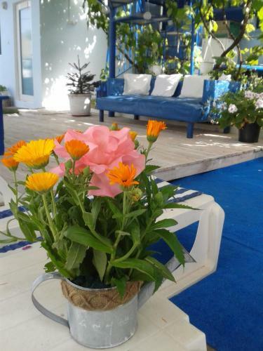 Hostal Casa Babica Guesthouse