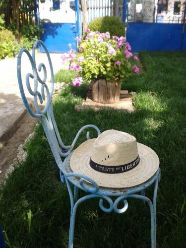 Hostal Casa Babica Guesthouse