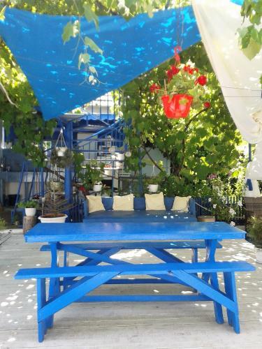 Hostal Casa Babica Guesthouse