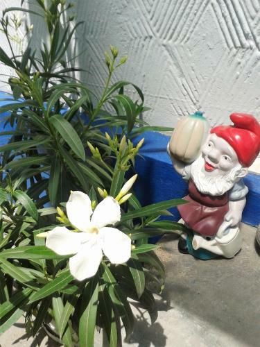 Hostal Casa Babica Guesthouse