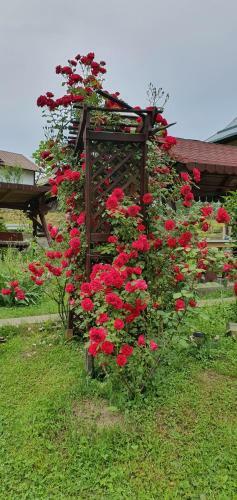 Hostal Belvedere La Cristina