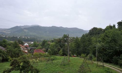 Hostal Pensiunea Tiuta
