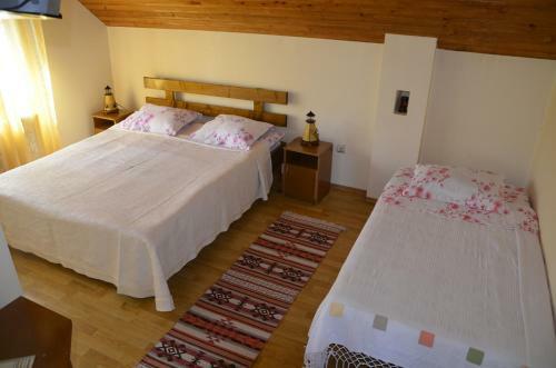 Hostal Rustic Argesean