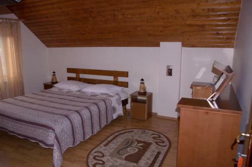 Hostal Rustic Argesean