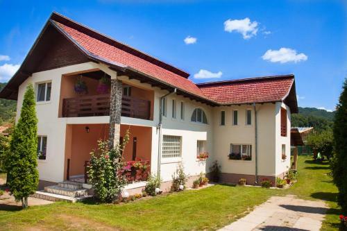 Hostal Rustic Argesean