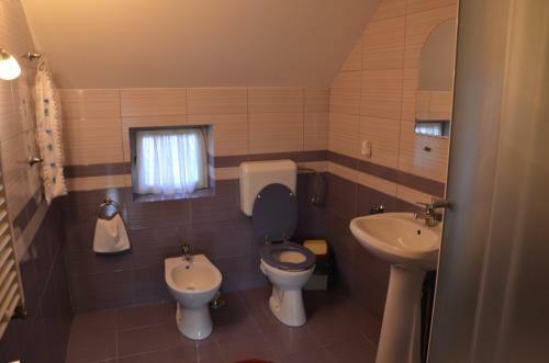 Hostal Rustic Argesean