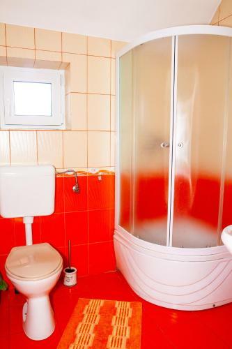 Hostal Rustic Argesean