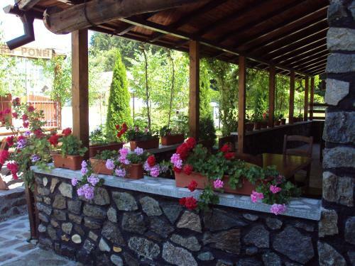 Hostal Pensiunea Trei Ponei