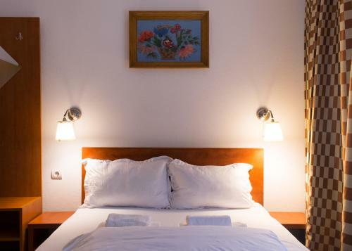 Hostal Pensiunea Colt De Munte