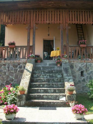 Villa Panorama Artist