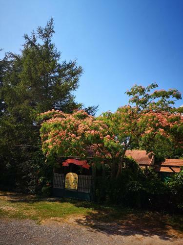 Arlekin Apartman