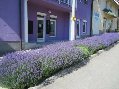 Bed & Breakfast Seva Csal�di Panzi�