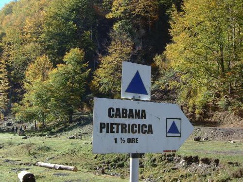 Cabana Pietricica