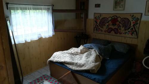 Cabana Pietricica