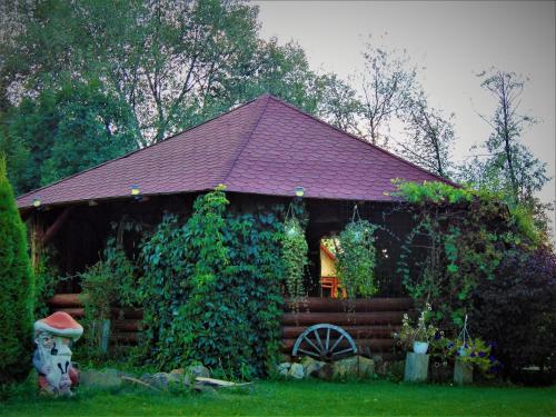 Hostal Pensiunea Cemira Lux