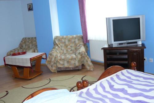 Hostal Pensiunea Cemira Lux