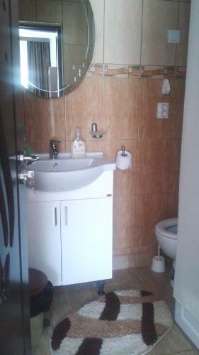 Hostal Pensiunea Lucian