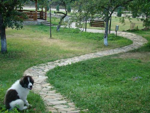 Hostal Pensiunea Agroturistica Cristal