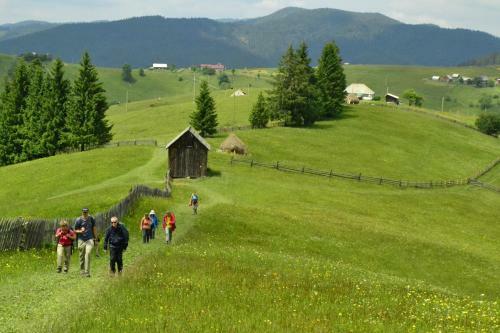 Pensiunea Agroturistica Casa Colini?a