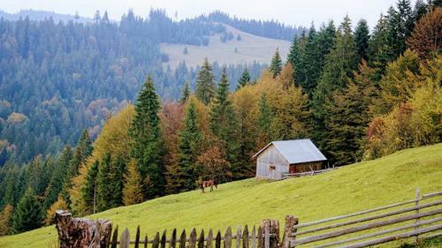 Pensiunea Agroturistica Casa Colini?a
