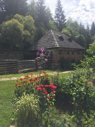 Pensiunea Agroturistica Casa Colini?a