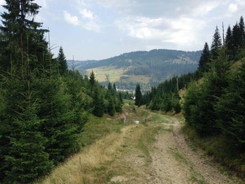 Bed & Breakfast Pensiunea Gentiana