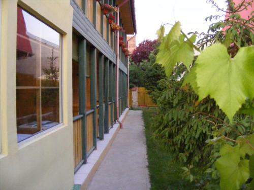 Hotel Golden Sea