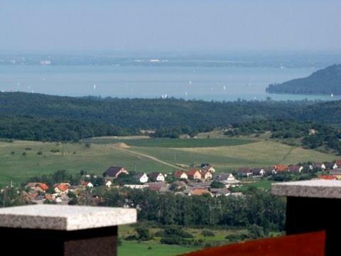 Borospince Vend�gh�z