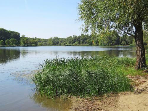Holiday Home Tisza 01.2