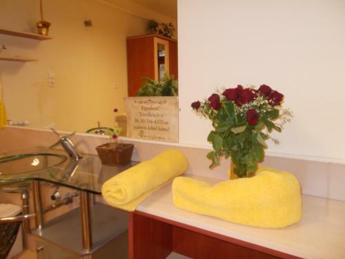 Bed & Breakfast �jjelibagoly Panzi�