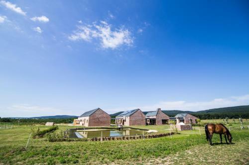 Hostal �regt�lgy Guest House
