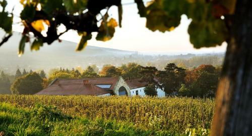 Castle Hotel Grof Degenfeld