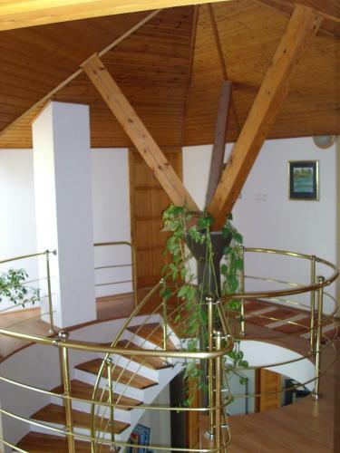 Anonim Vend�gh�z