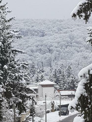 Hostal Amaretto Sz�ll�s