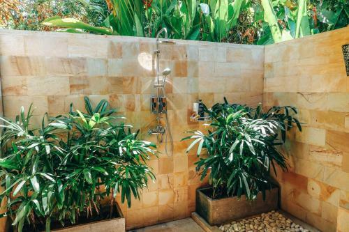 The Mahalani - All-inclusive Oceanfront Villa