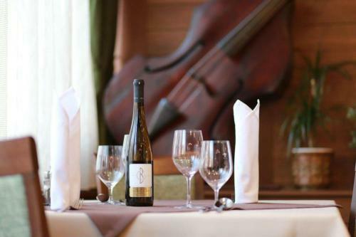 Hostal Hotel Muresul Health Spa