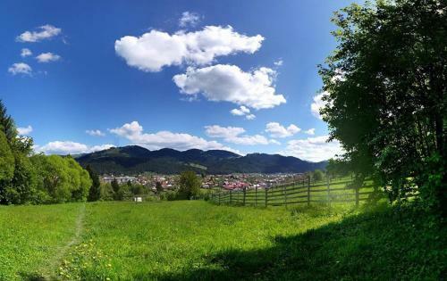 Hostal Pension Dor De Bucovina